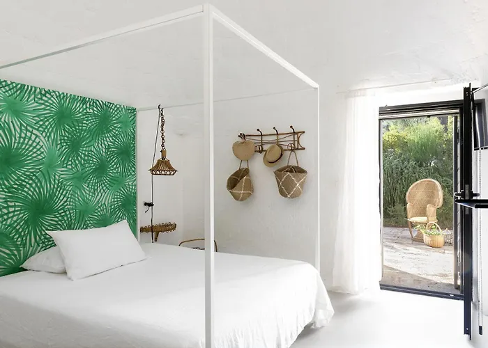 Cocotrullo オストゥーニ