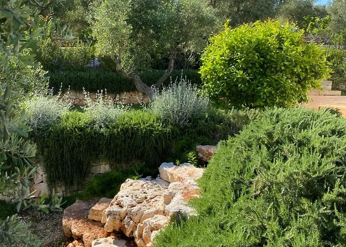 Cocotrullo