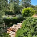 Cocotrullo