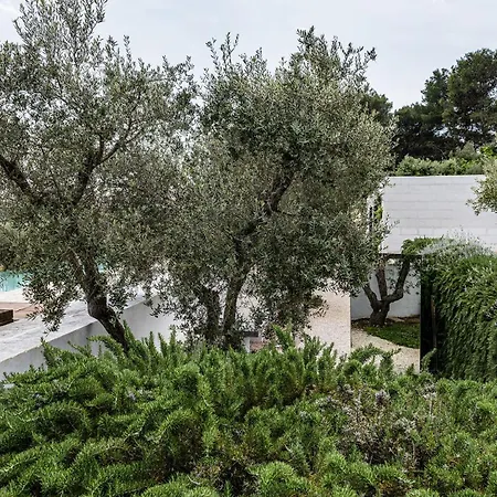 Cocotrullo * Cisternino