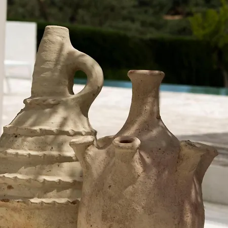 Cocotrullo Casa de hóspedes