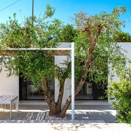 Cocotrullo
