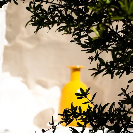 Cocotrullo 3* Ostuni