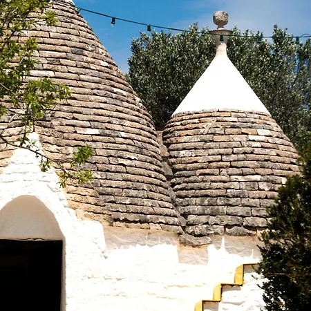Casa de hóspedes Cocotrullo 3*